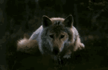 3709c05ab6.gif