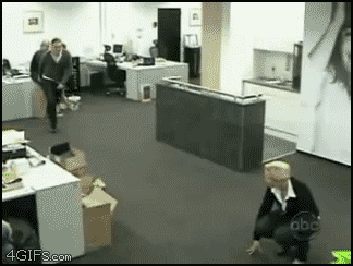 9OvrD.gif