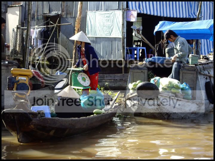 Boats1.jpg