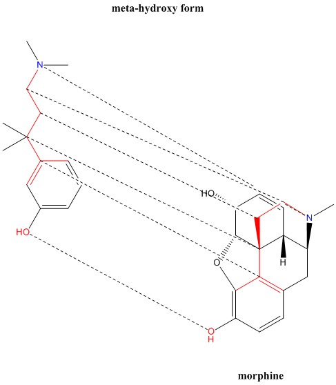 N_N_3-trimethyl-3-phenylbutan-1-amine_m-hydroxy.jpg