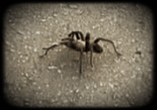 20220905-234759.gif