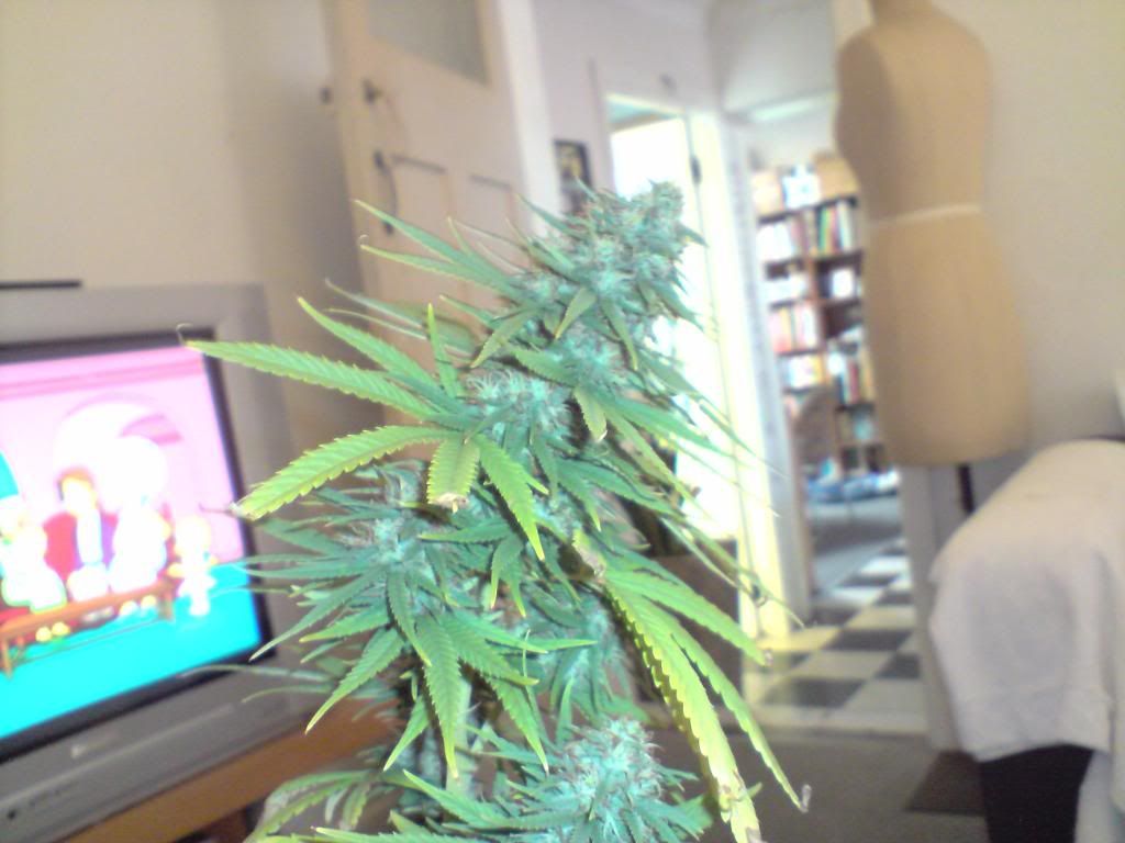 P120410_1015.jpg