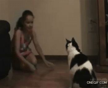 RWS22W5.gif