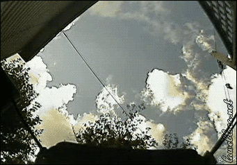 83889521.gif