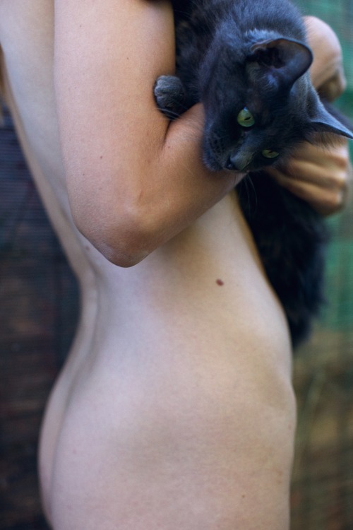 tumblr_n0xruc0HDe1qctyjdo1_500.jpg