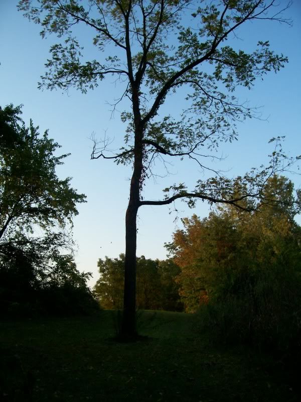 100_1856.jpg