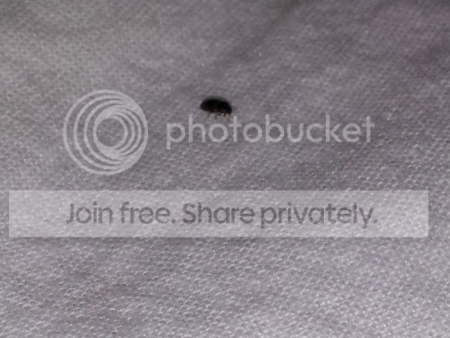 2012-08-11093527.jpg