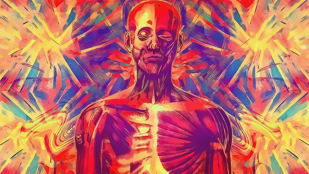 psychedelicfrontier.com