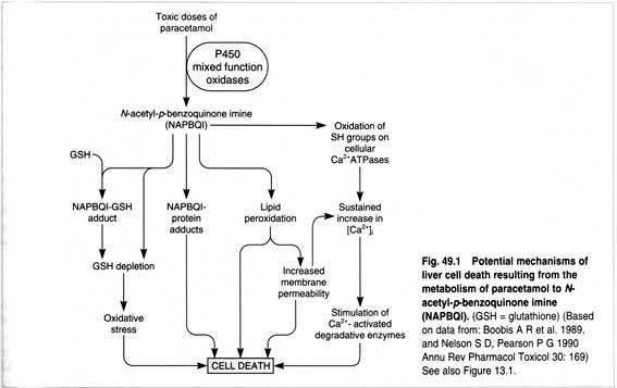 Acetaminophen-toxicity-mech.jpg