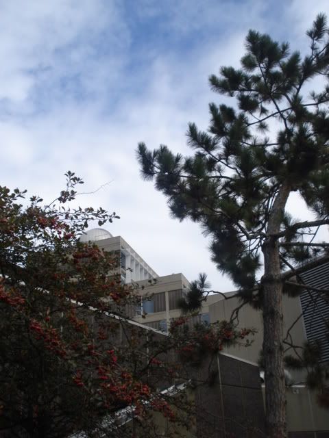 DSC00719.jpg