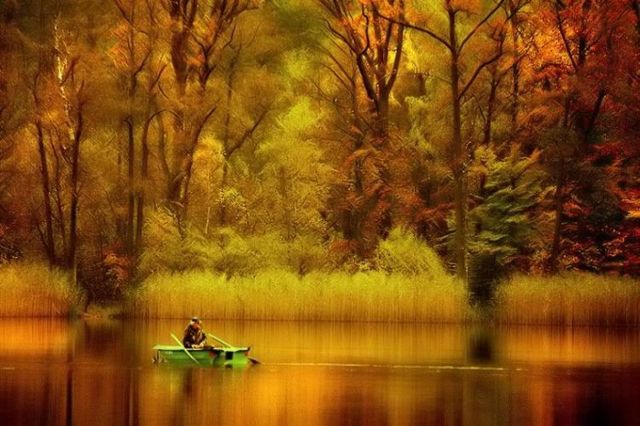 nature_01.jpg