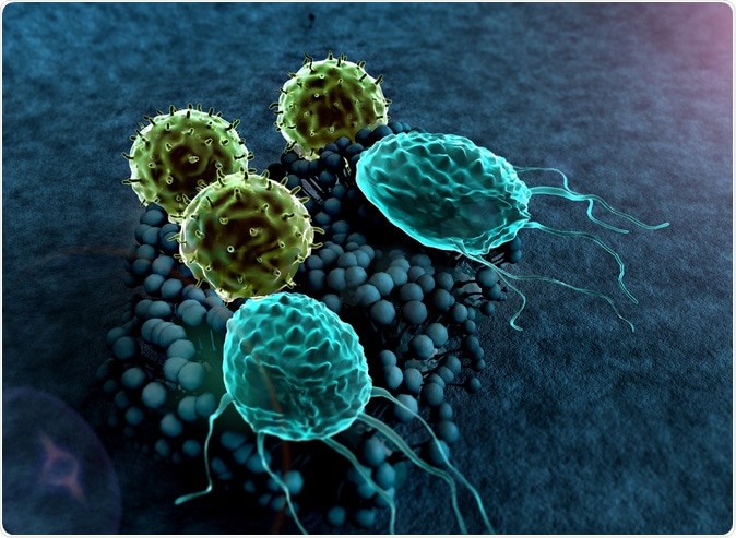 www.news-medical.net