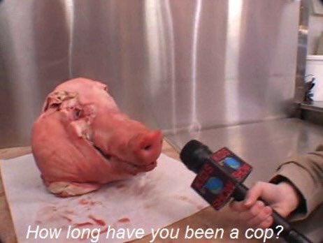tumblr_p4ykktSXIj1wiqcmvo4_500.jpg