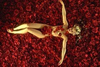 american-beauty.jpg