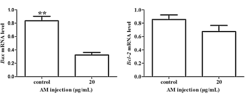 astragalusmembranaceusastragalustestosterone4.gif