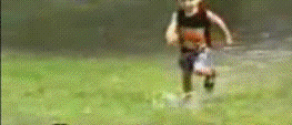83114251.gif