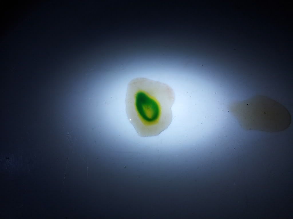 20120626_223113.jpg