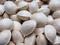 200px-Ginkgo_Seed.JPG
