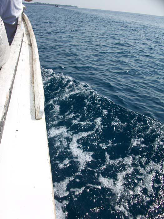 boat.jpg
