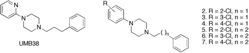 www.sciencedirect.com