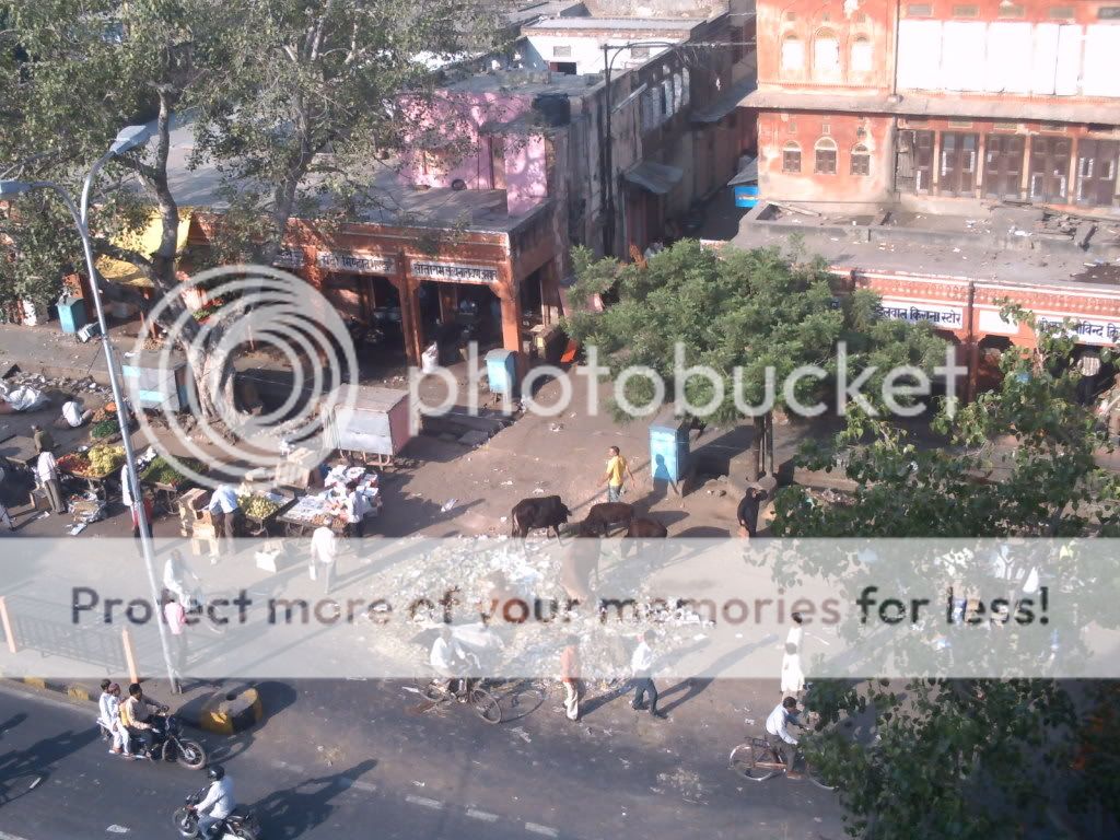 jaipurhotelwindowview.jpg