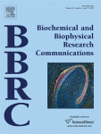 www.sciencedirect.com