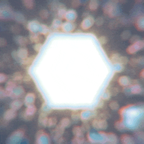 tumblr_m484w0Oldp1qzw1qyo1_500.gif