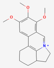 imgsrv-20.png