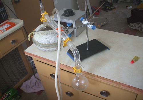 sassafras_distillation.jpg