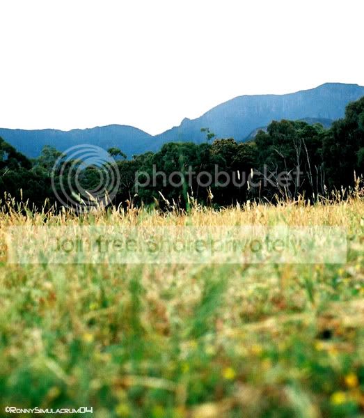 Site2.jpg