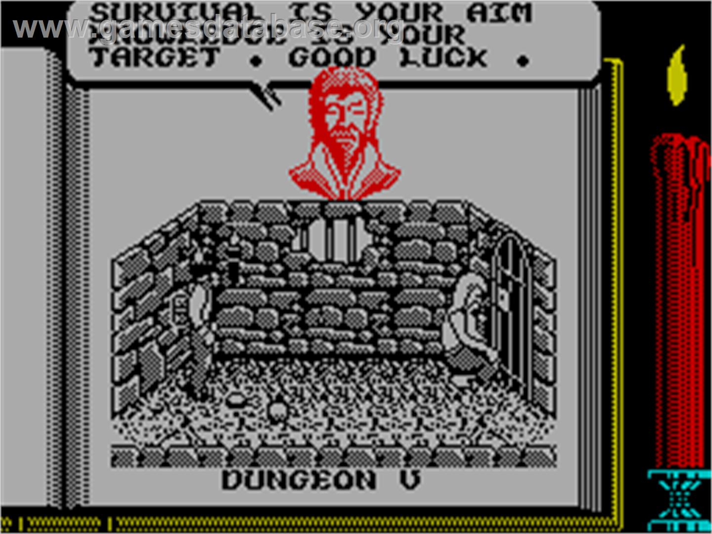 Knightmare_-_1987_-_Activision.jpg