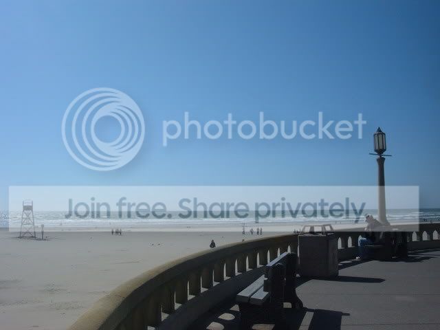 DSCF0993.jpg
