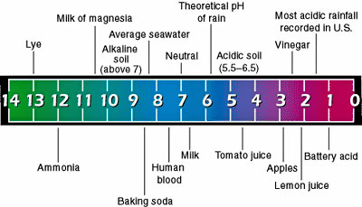 agua19_01.jpg