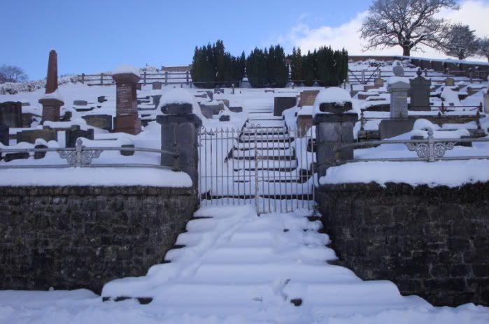DSC02451-1.jpg