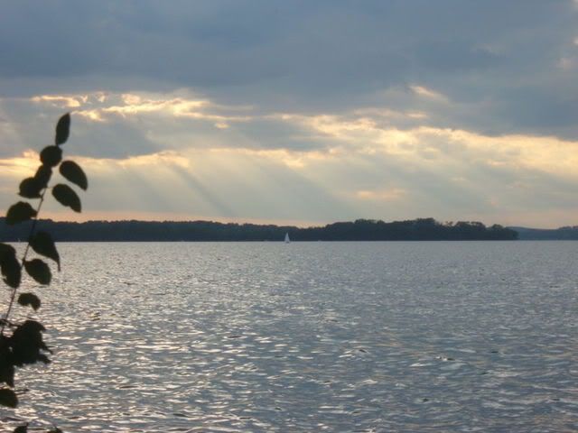 DSCF1359.jpg