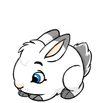 snowbunny_hop.gif