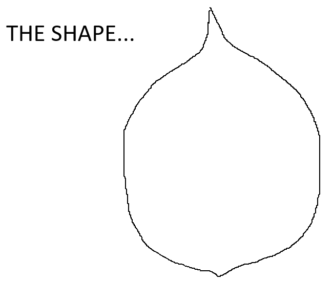 torch.png