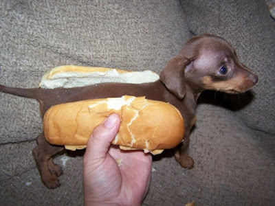 hot+dog.jpg