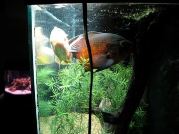 IMG_1091.jpg