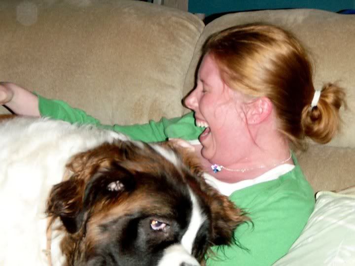 dogmauling.jpg