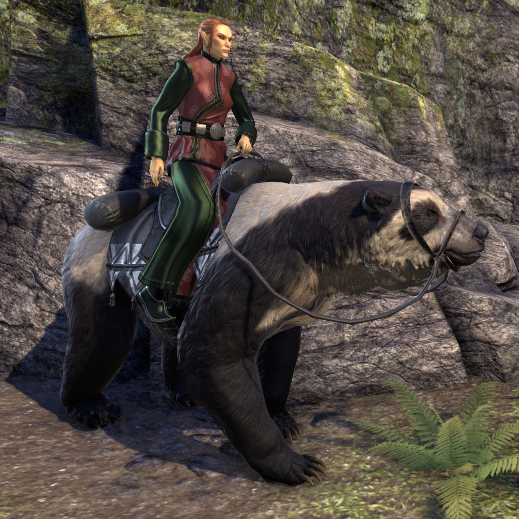 ON-mount-Masked_Bear.jpg