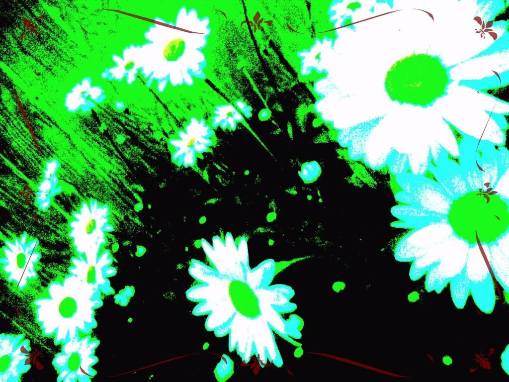 a5f57d78.jpg