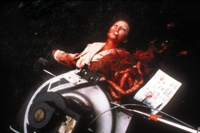 pic_death_lawn.jpg