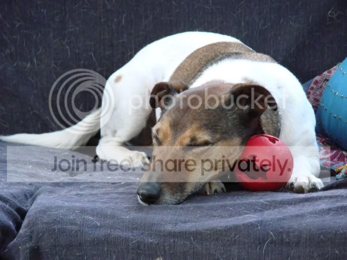 cos_ball.jpg
