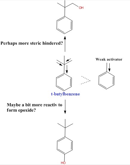 Xqvi0vC.jpg