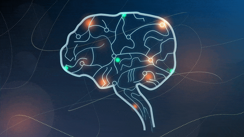 Neuroscience.gif
