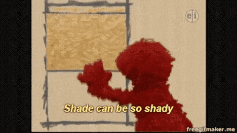 giphy.gif
