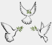 ScwhLWO.png