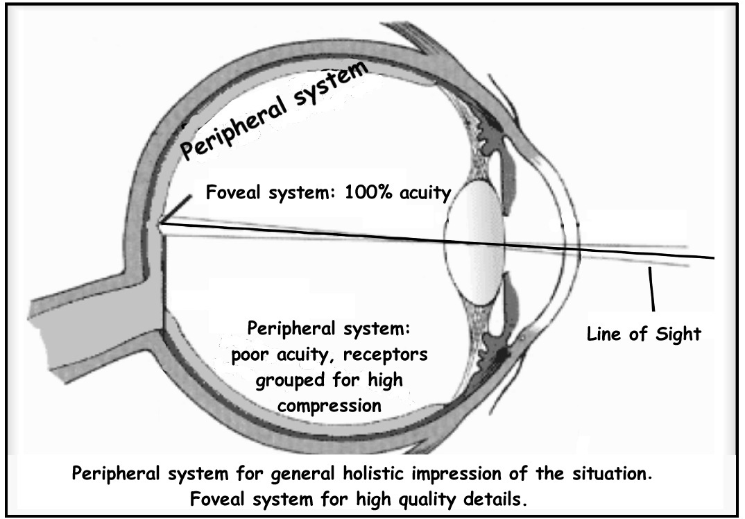 Double_system_e.jpg