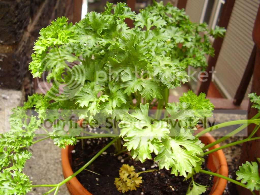 summer2010016.jpg